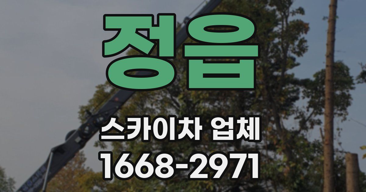 정읍 스카이차 업체