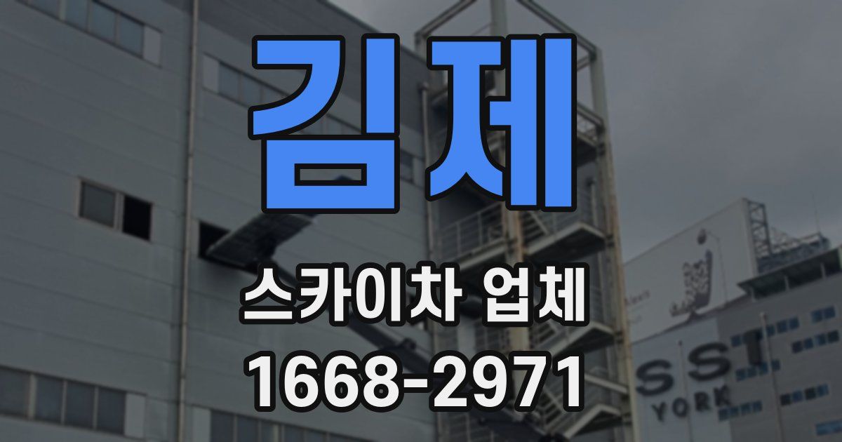 김제 스카이차 업체