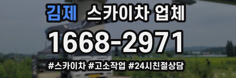김제 스카이차 업체