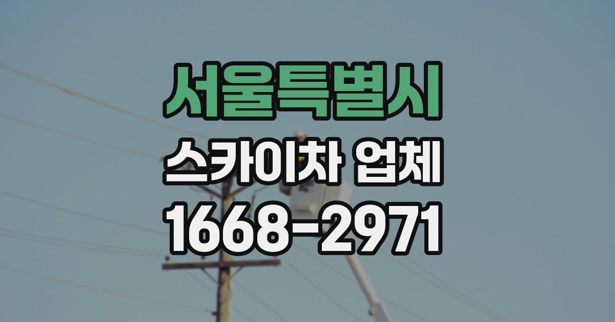 서울특별시 스카이차 업체