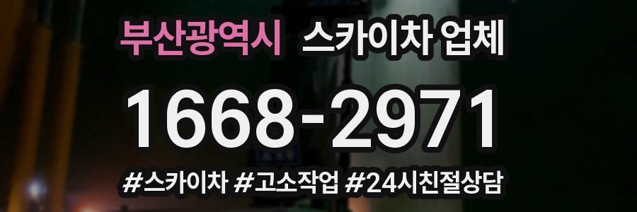 부산광역시 스카이차 업체