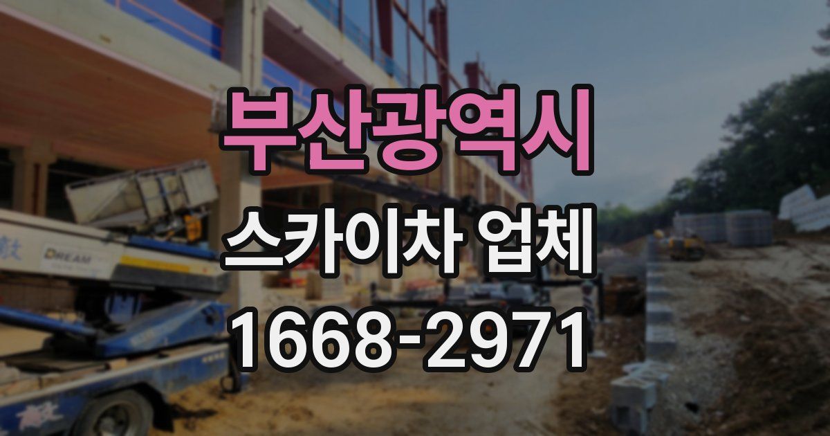 부산광역시 스카이차 업체