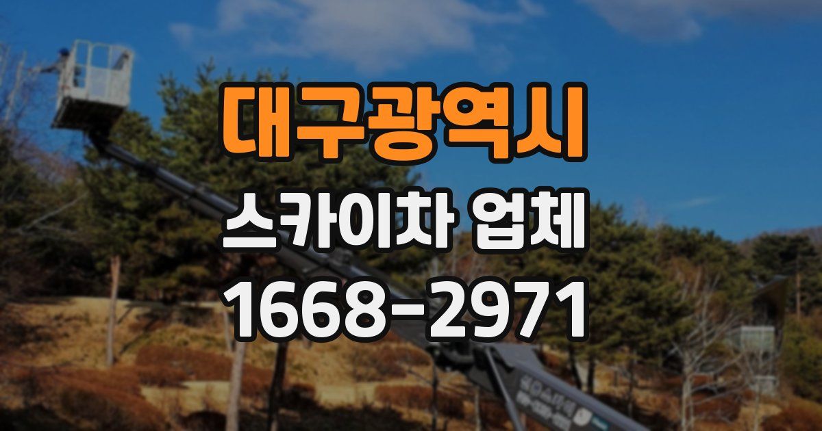 대구광역시 스카이차 업체