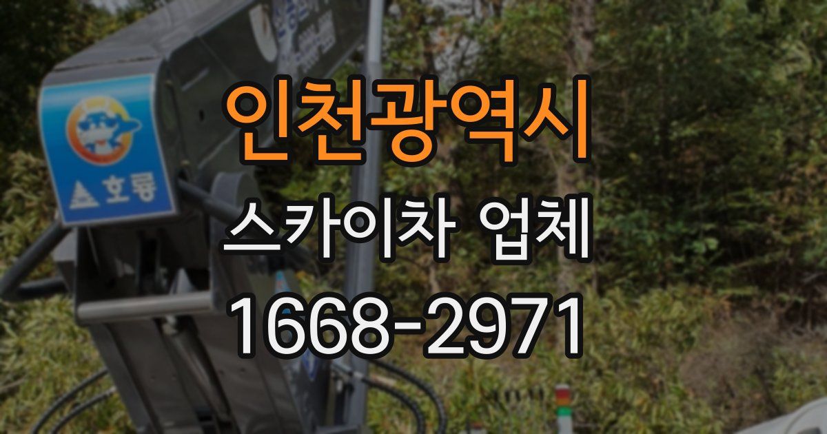 인천광역시 스카이차 업체