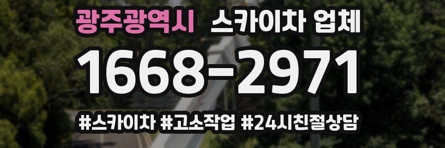 광주광역시 스카이차 업체