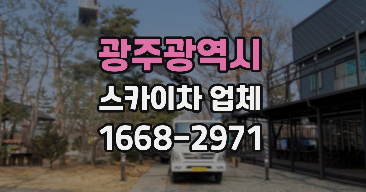 광주광역시 스카이차 업체