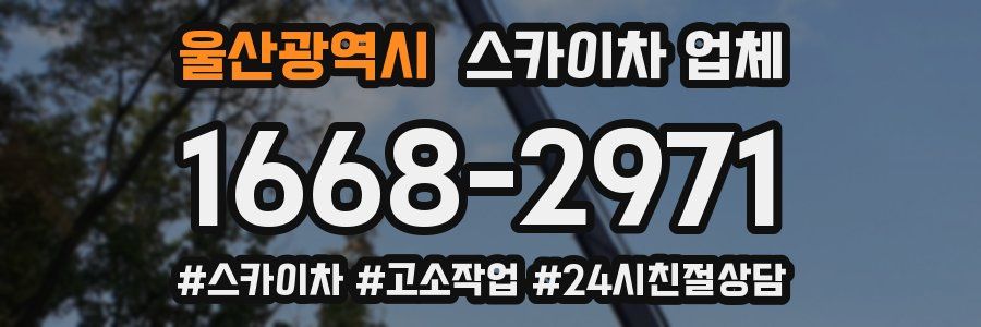 울산광역시 스카이차 업체