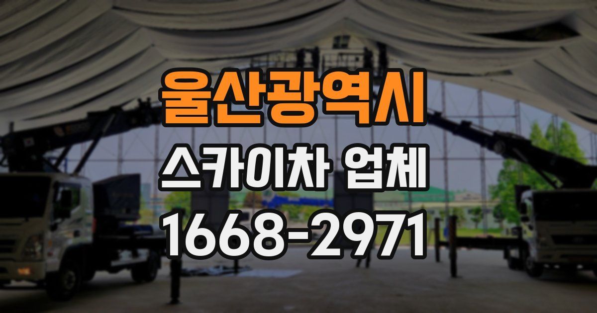 울산광역시 스카이차 업체