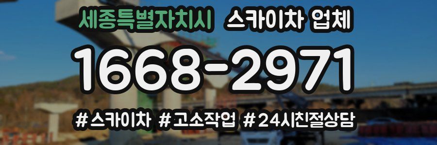 세종특별자치시 스카이차 업체