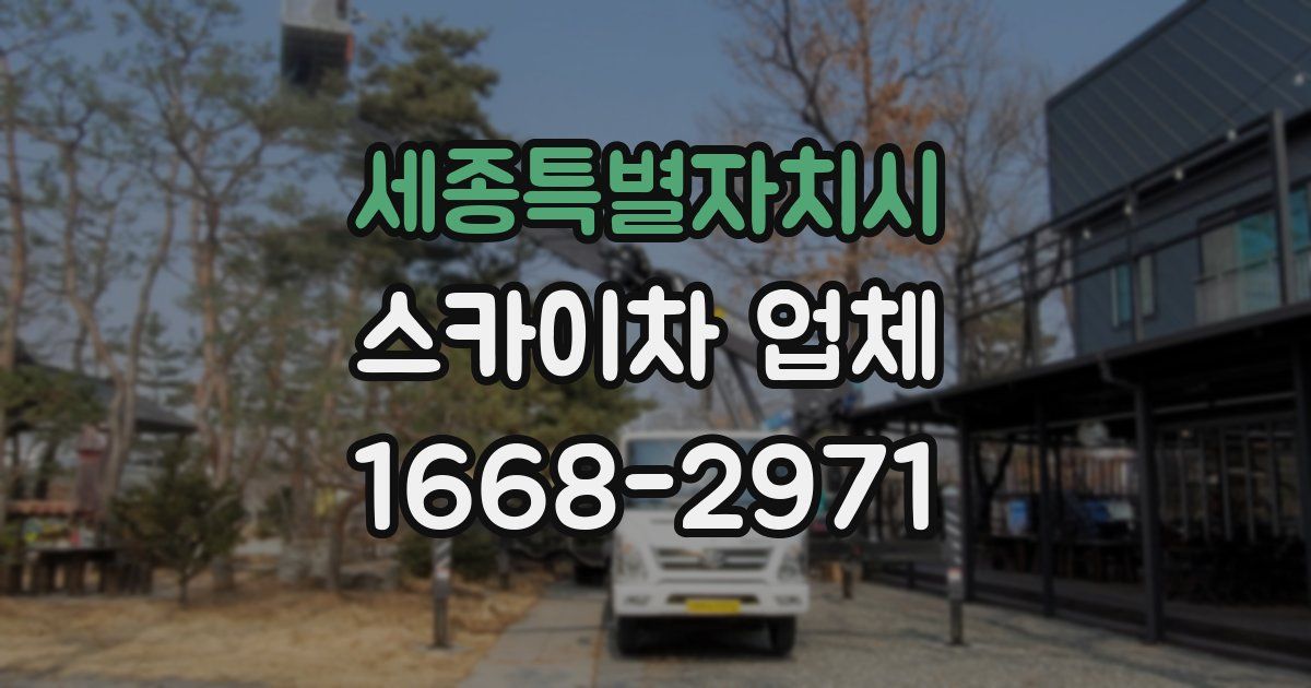 세종특별자치시 스카이차 업체