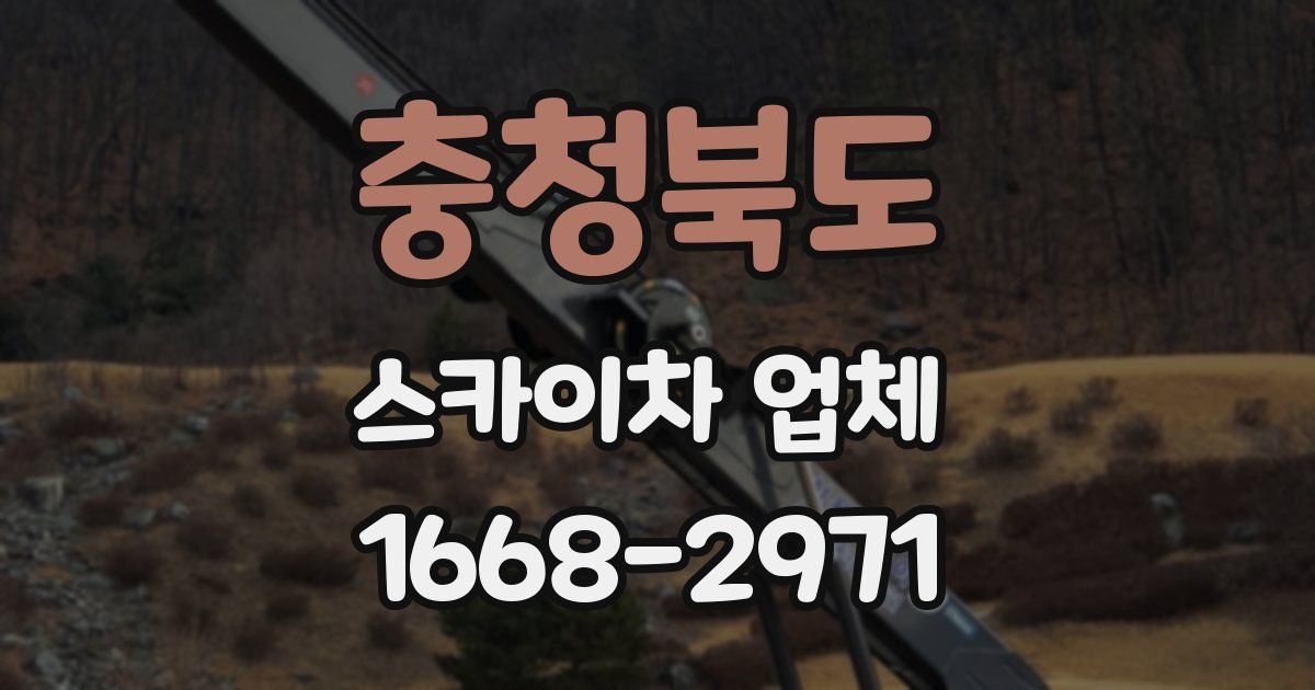 충청북도 스카이차 업체
