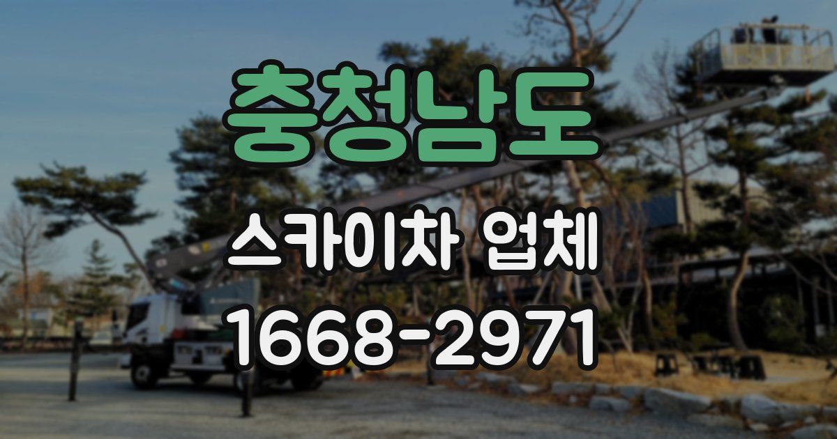 충청남도 스카이차 업체