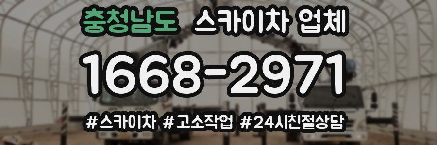 충청남도 스카이차 업체
