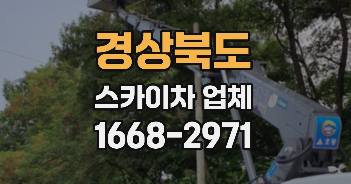 경상북도 스카이차 업체