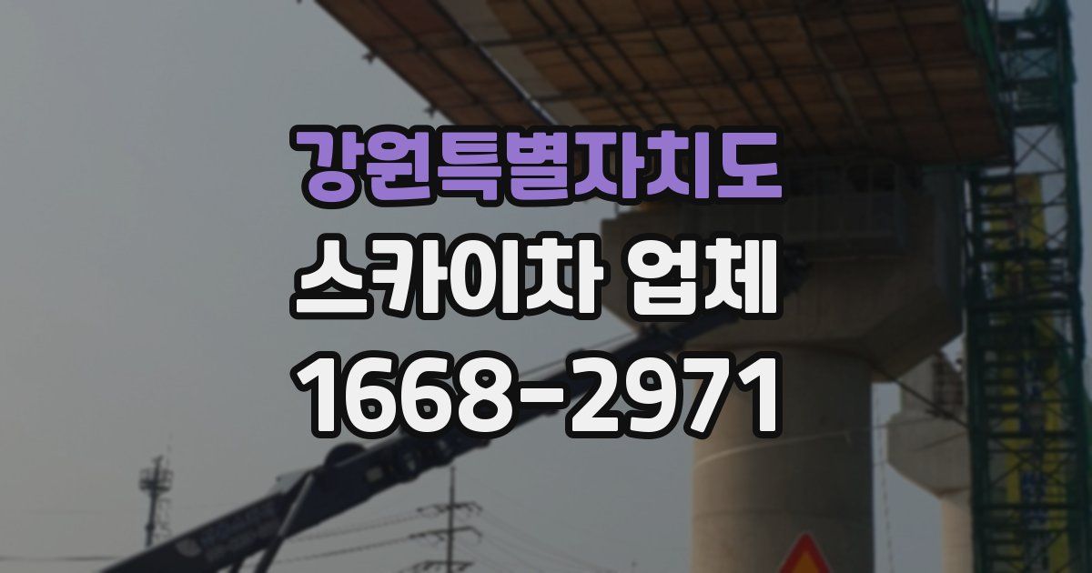 강원특별자치도 스카이차 업체