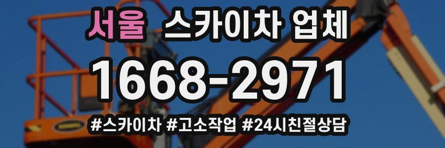 서울 스카이차 업체