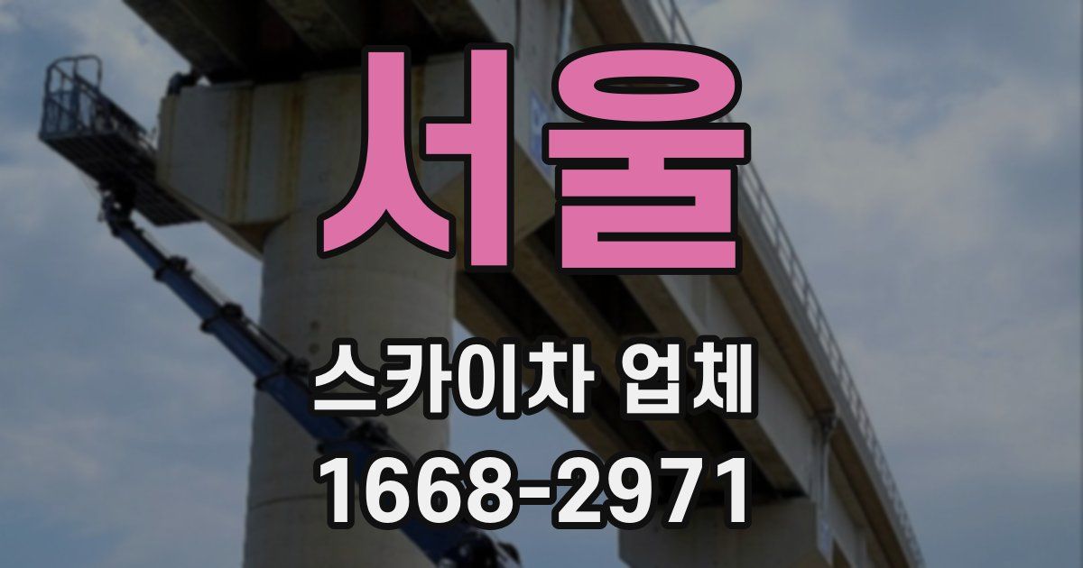 서울 스카이차 업체