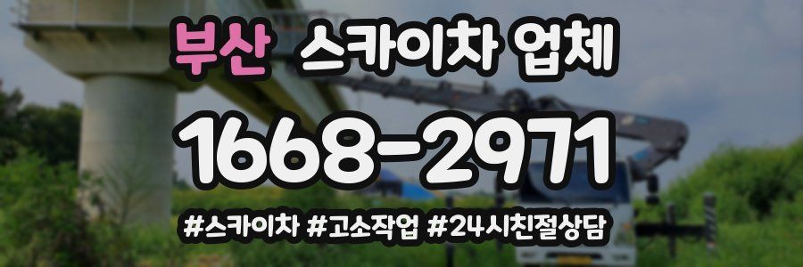 부산 스카이차 업체