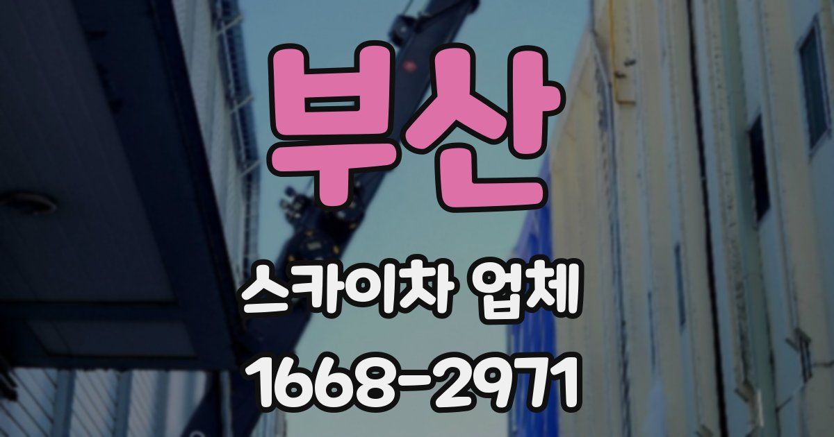 부산 스카이차 업체