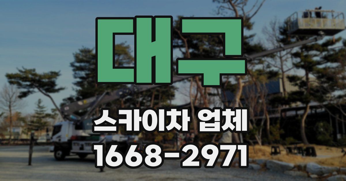대구 스카이차 업체