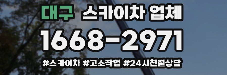 대구 스카이차 업체