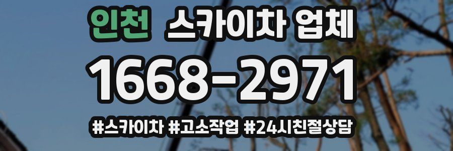 인천 스카이차 업체
