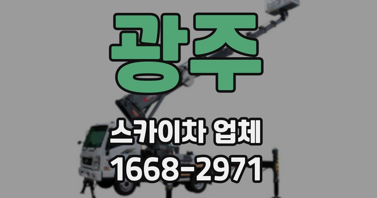 광주 스카이차 업체