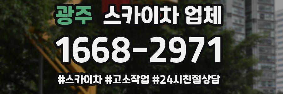 광주 스카이차 업체