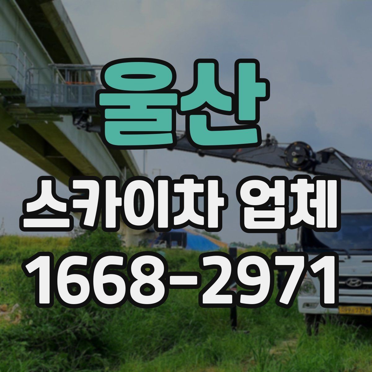 울산 스카이차 업체 후기에서 자주 보는 포인트