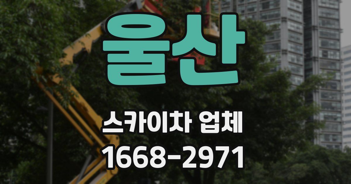 울산 스카이차 업체