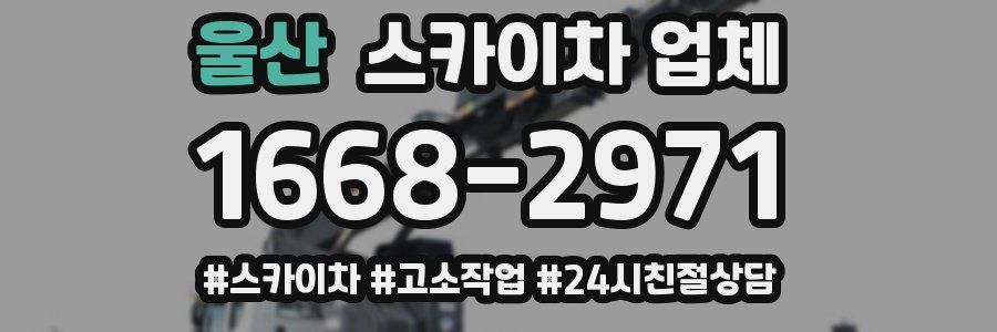울산 스카이차 업체