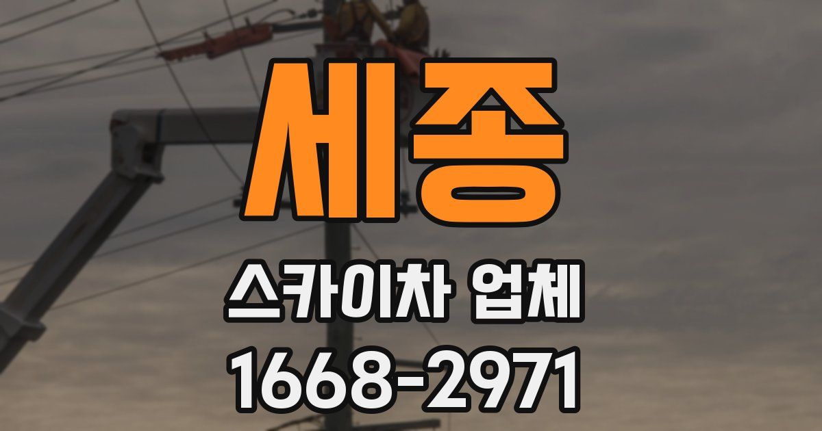 세종 스카이차 업체