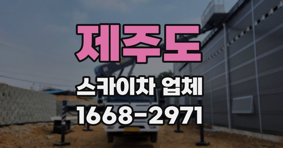 제주도 스카이차 업체