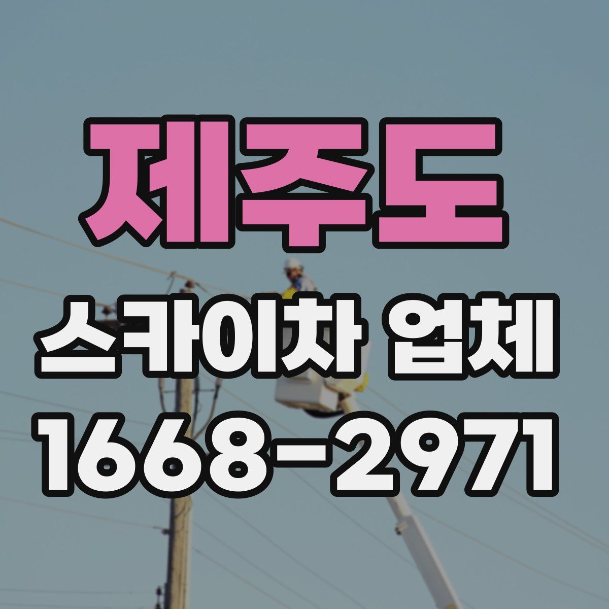 제주도 스카이차 업체