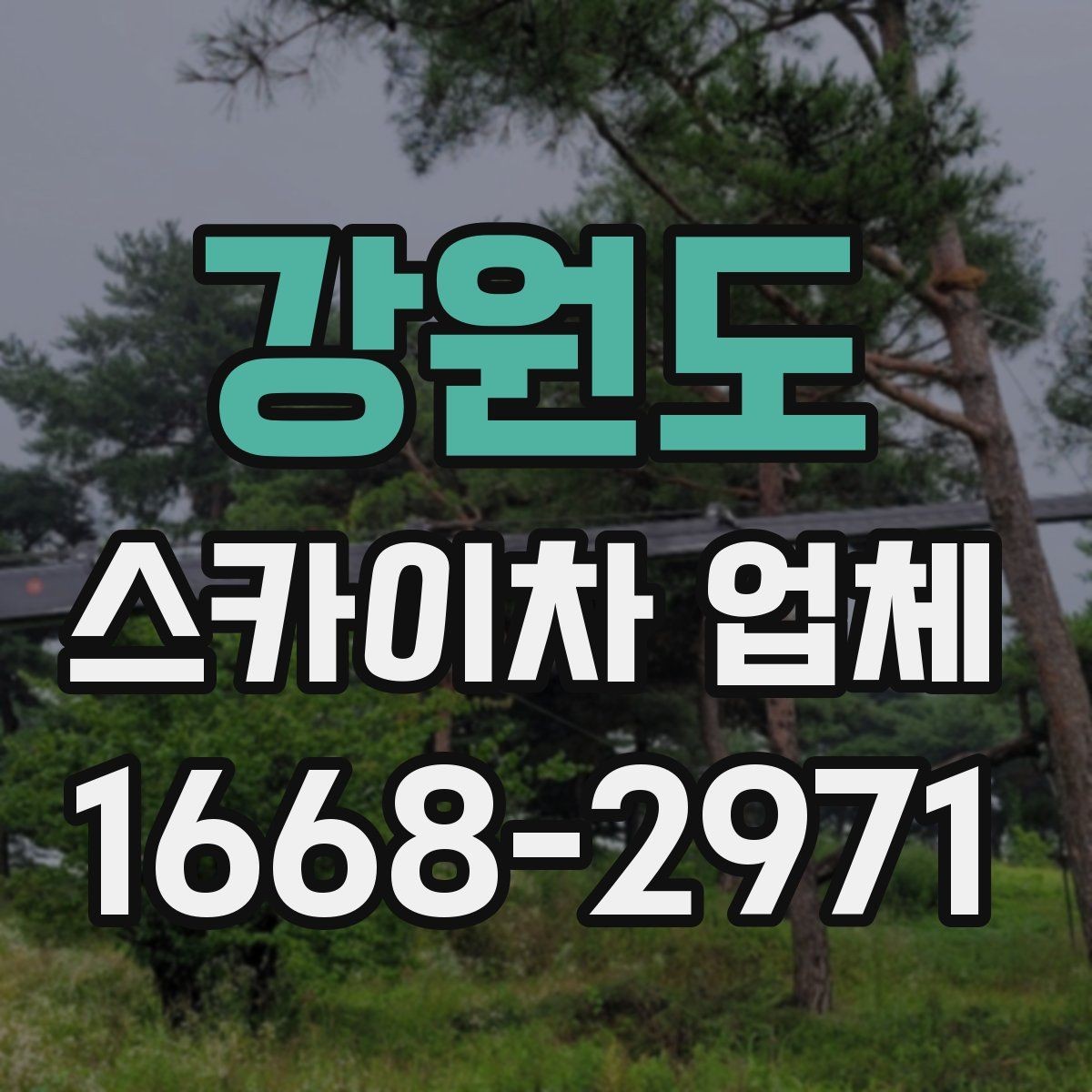 강원도 스카이차 업체 이용 전 안전수칙을 미리 알아두자