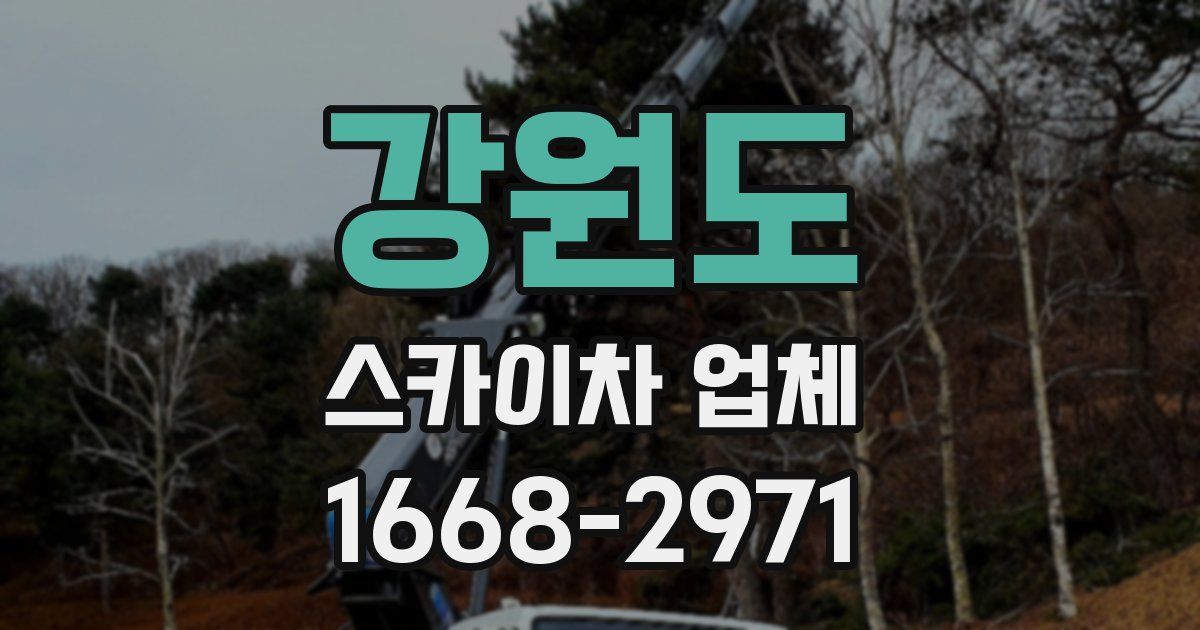 강원도 스카이차 업체