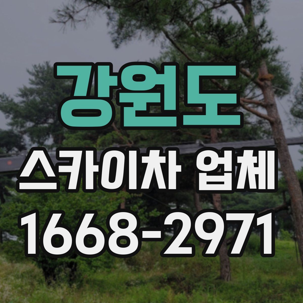 강원도 스카이차 업체