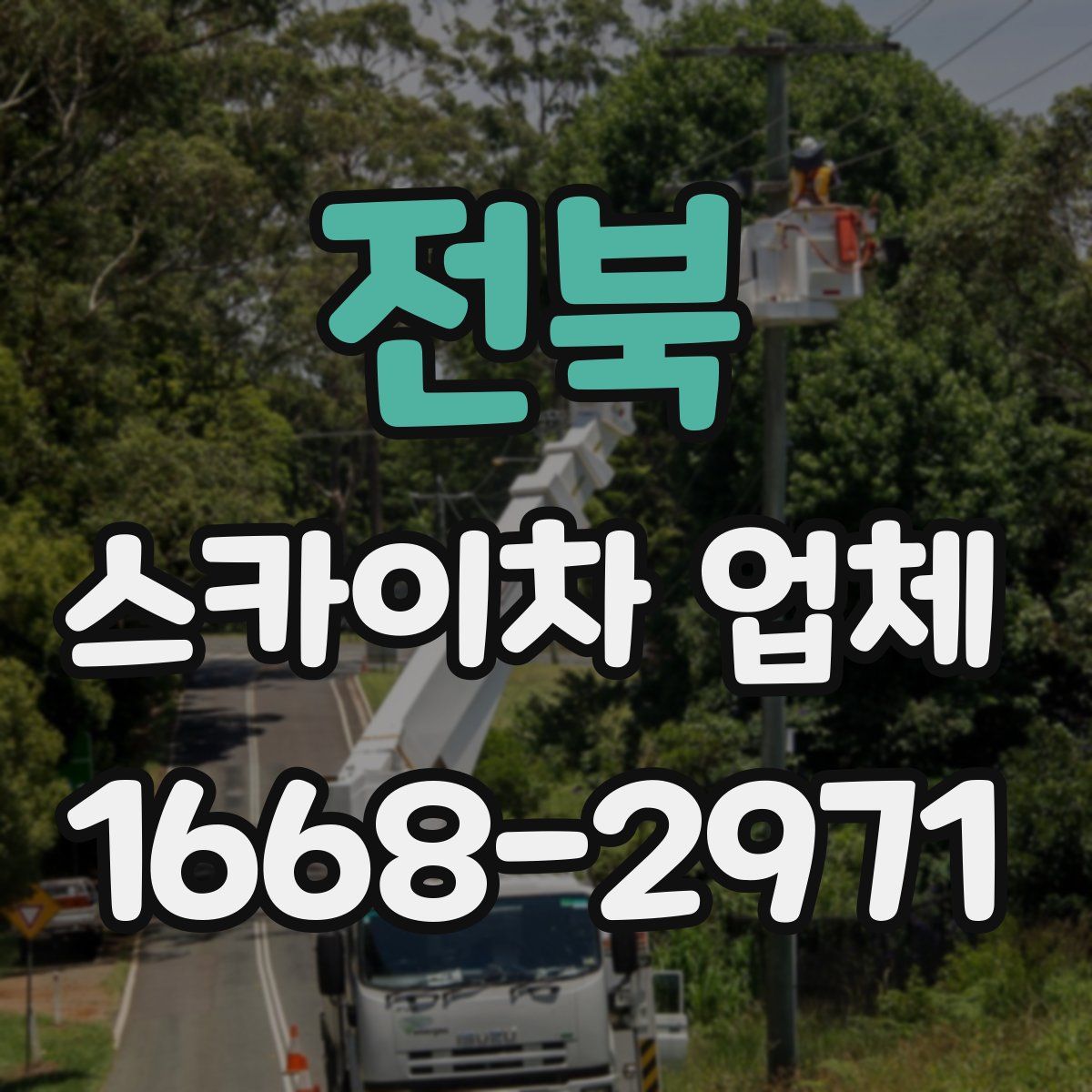 전북 스카이차 업체