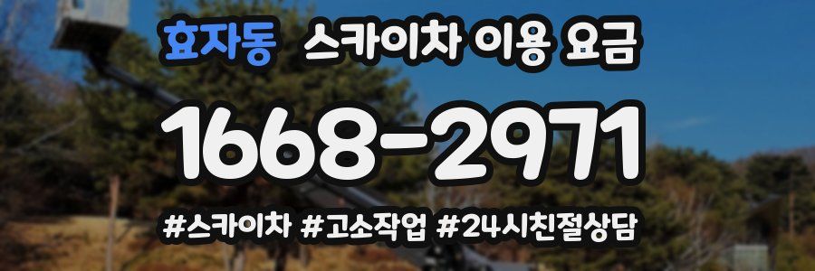 효자동 스카이차 이용 요금