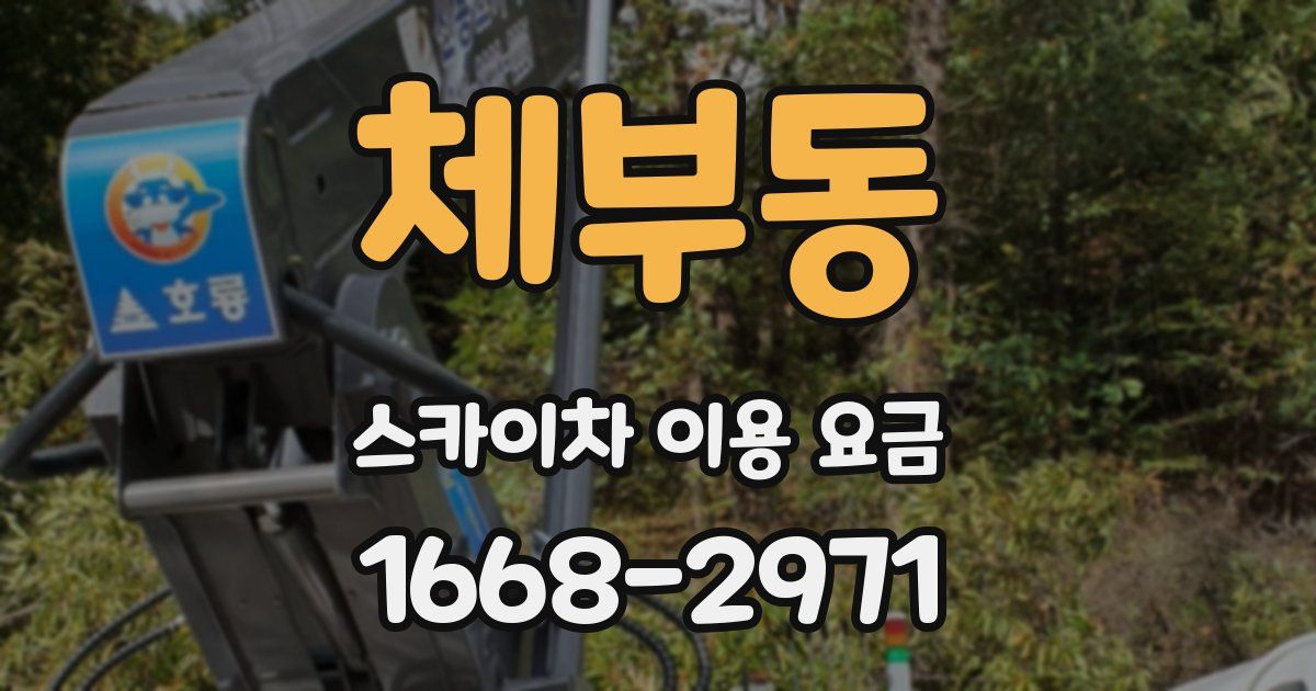 체부동 스카이차 이용 요금