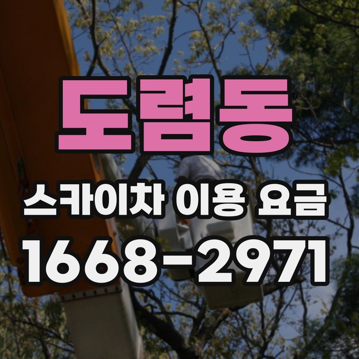도렴동 스카이차 이용 요금 확인 후 선택할 때 살펴볼 부분