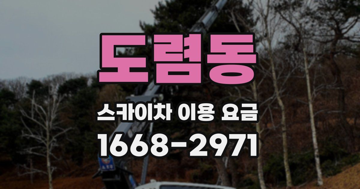 도렴동 스카이차 이용 요금