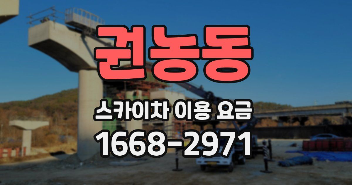 권농동 스카이차 이용 요금