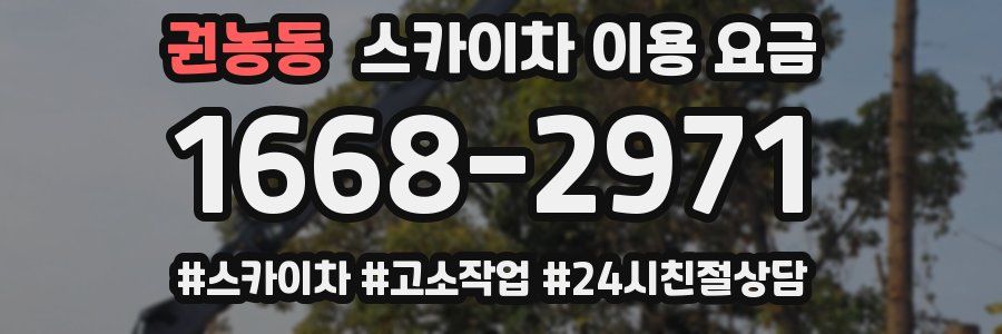 권농동 스카이차 이용 요금