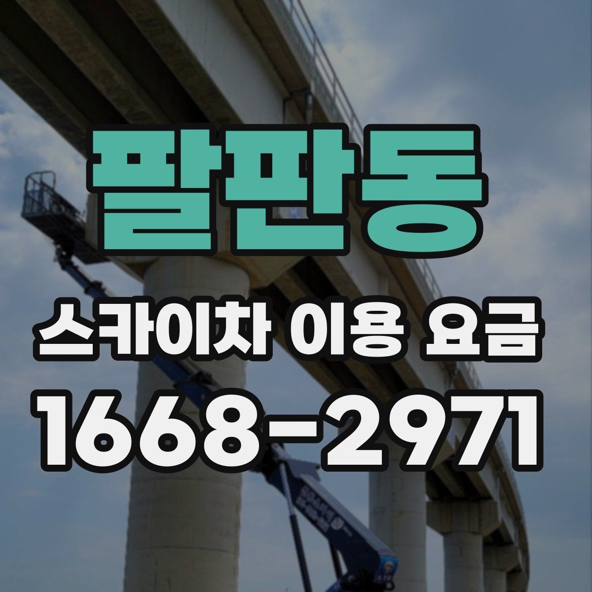 팔판동 스카이차 이용 요금 정리와 문의 팁