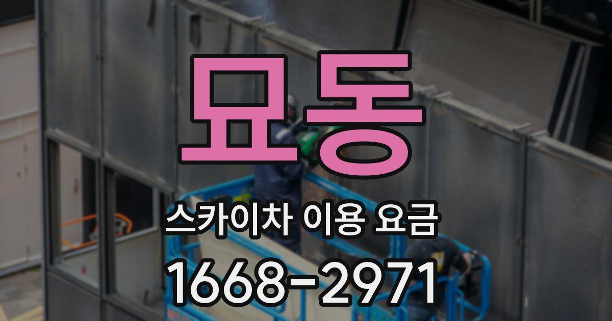 묘동 스카이차 이용 요금