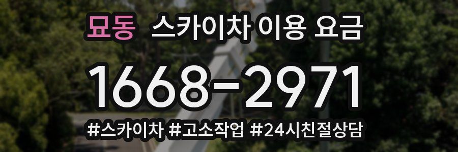 묘동 스카이차 이용 요금