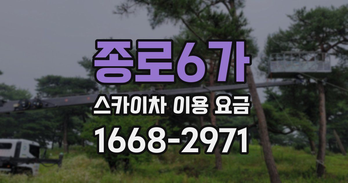 종로6가 스카이차 이용 요금
