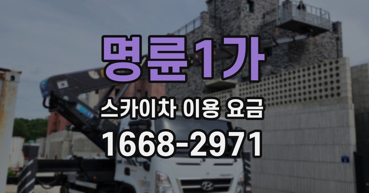 명륜1가 스카이차 이용 요금