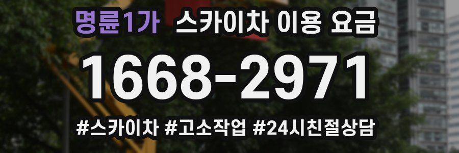 명륜1가 스카이차 이용 요금